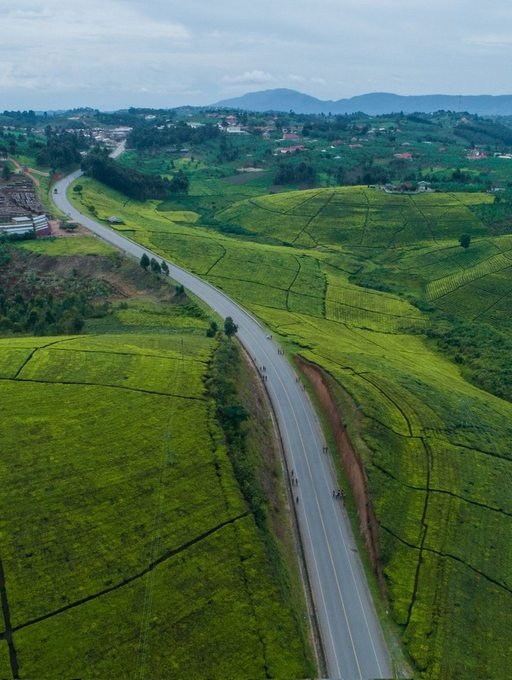 Lush green hills and countryside in Uganda