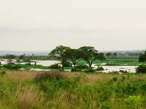 River Nile at Murchison Falls National Park