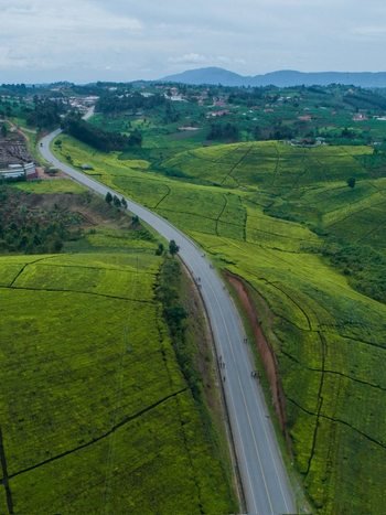 Lush green hills and countryside in Uganda