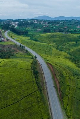 Lush green hills and countryside in Uganda