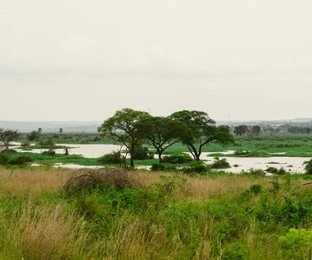 River Nile at Murchison Falls National Park