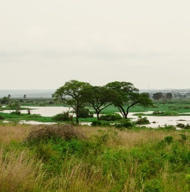 River Nile at Murchison Falls National Park