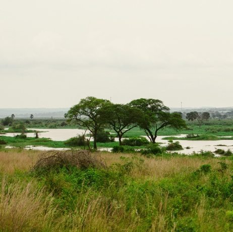 River Nile at Murchison Falls National Park