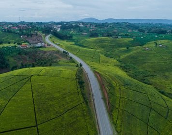 Lush green hills and countryside in Uganda