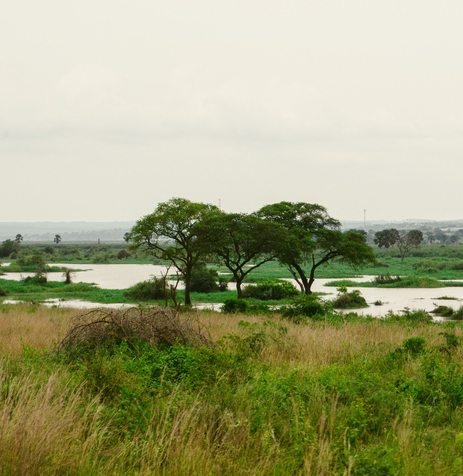 River Nile at Murchison Falls National Park