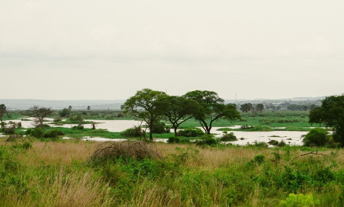 River Nile at Murchison Falls National Park
