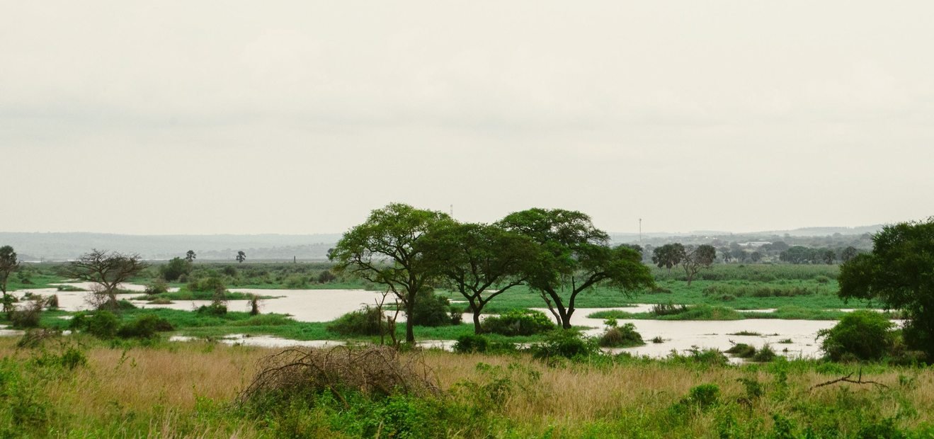 River Nile at Murchison Falls National Park
